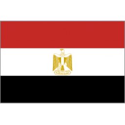 埃及男篮